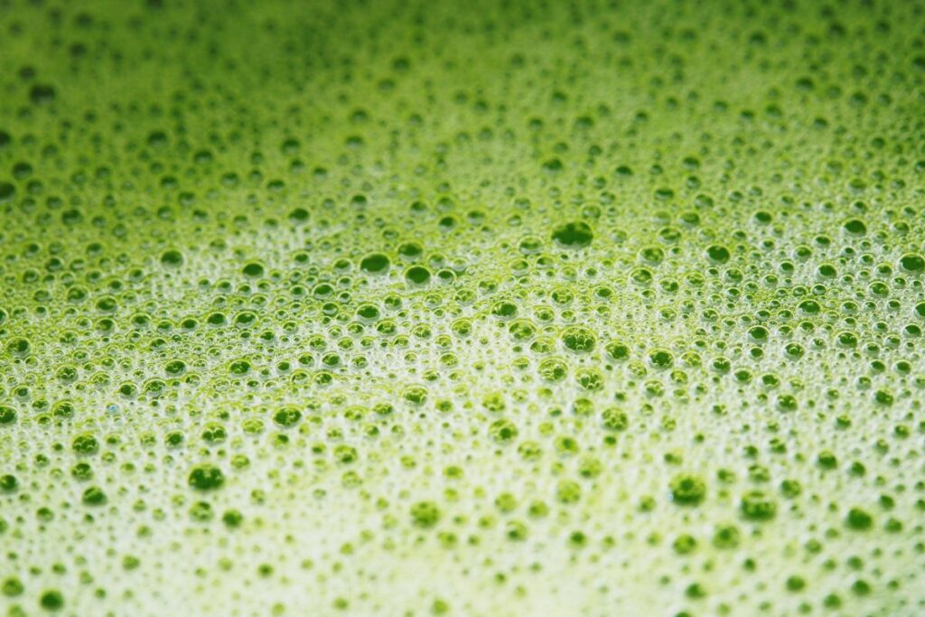 抹茶の泡粒